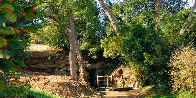 Las Cuevas de Altamira